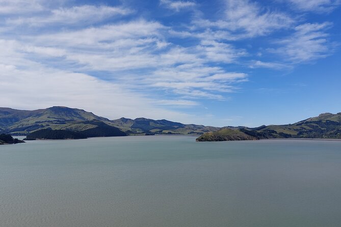 Lyttelton Shore Excursion: Christchurch Sightseeing with Antarctic Center - How much commentary is right for you