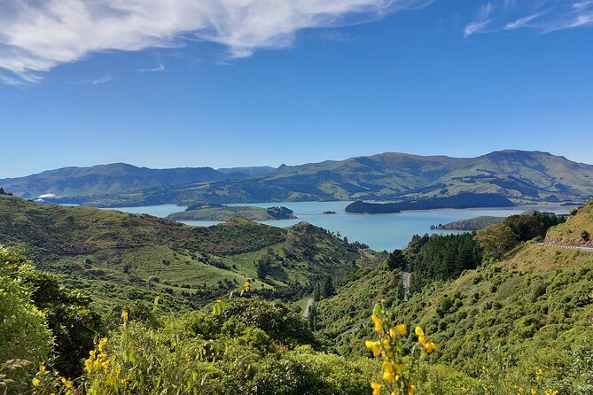 Lyttelton Shore Excursion: Christchurch & Willowbank Tour - Why this Christchurch shore tour works