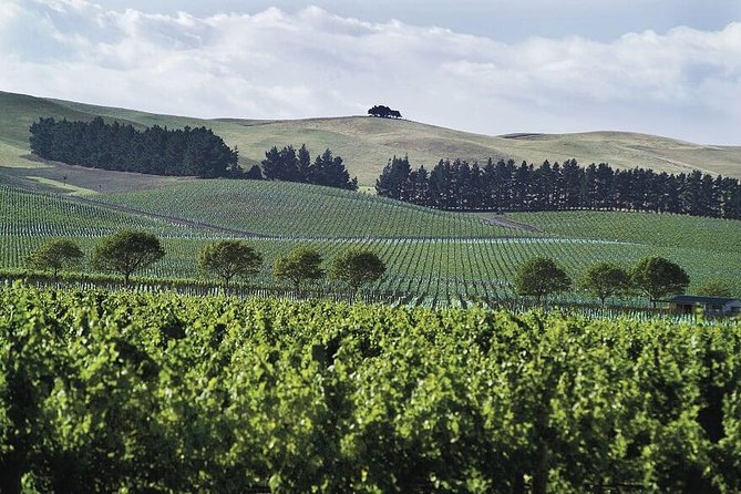 Lyttelton Shore Excursion: Christchurch & Willowbank Tour - Mona Vale offers a quieter side of Christchurch