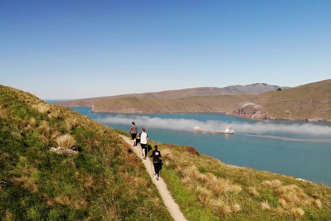 Lyttelton Shore Excursion - Guided Walking Tour and Picnic - Quick points to know before booking