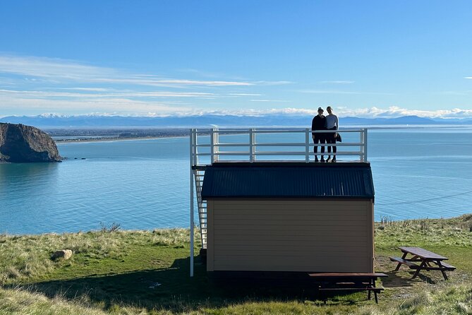 Lyttelton Shore Excursion - Guided Walking Tour and Picnic - Coastal wildlife and World War II remains