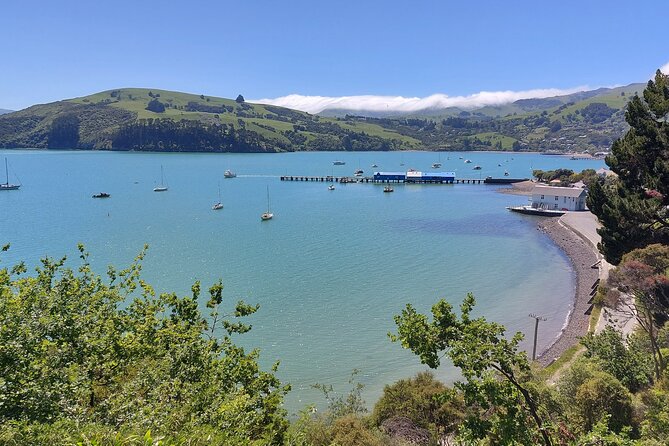 Lyttelton Shore Excursion: Twin Harbour Tour (Lyttelton & Akaroa) - Is $167.55 a fair price?
