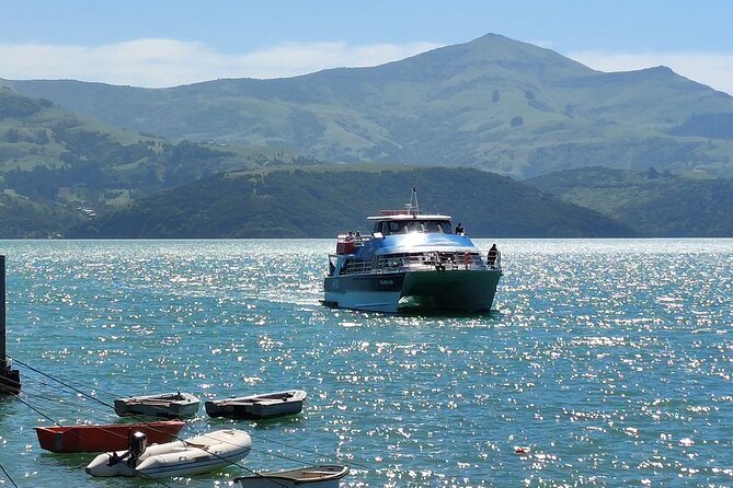 Lyttelton Shore Excursion: Twin Harbour Tour (Lyttelton & Akaroa) - Who will enjoy this shore excursion?