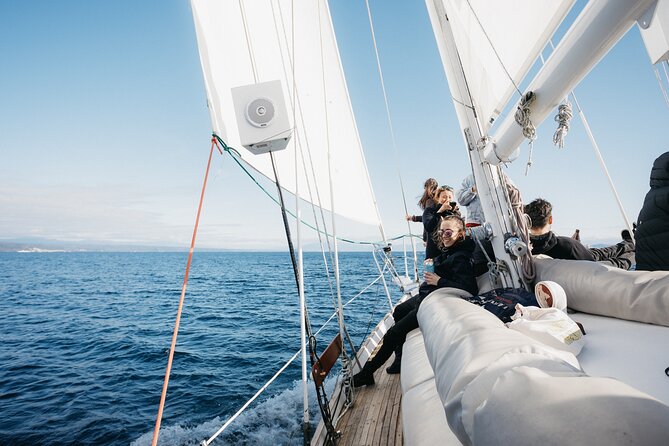 Maori Rock Carvings Eco Sailing Taupo - A swim in Lake Taupō, weather permitting