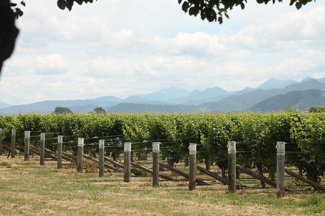 Marlborough Classic Wine Tasting Tour. - Meeting Sherri and travelling by Toyota Hiace