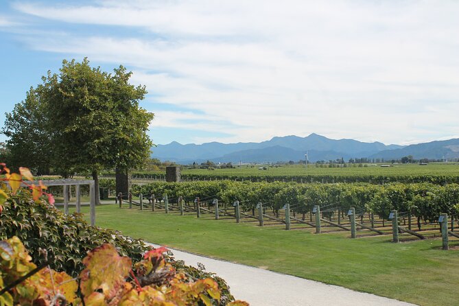 Marlborough Classic Wine Tasting Tour. - Who will get the most from this tour