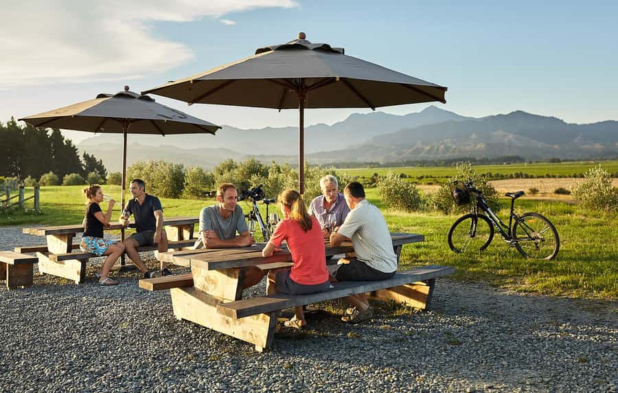 Marlborough: Full-Day Self-Guided Biking Wine Tour - Why a bicycle works so well in Marlborough