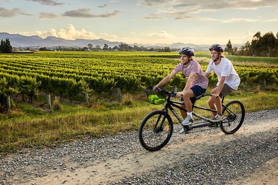 Marlborough: Full-Day Self-Guided Biking Wine Tour - Reading the map and choosing your route