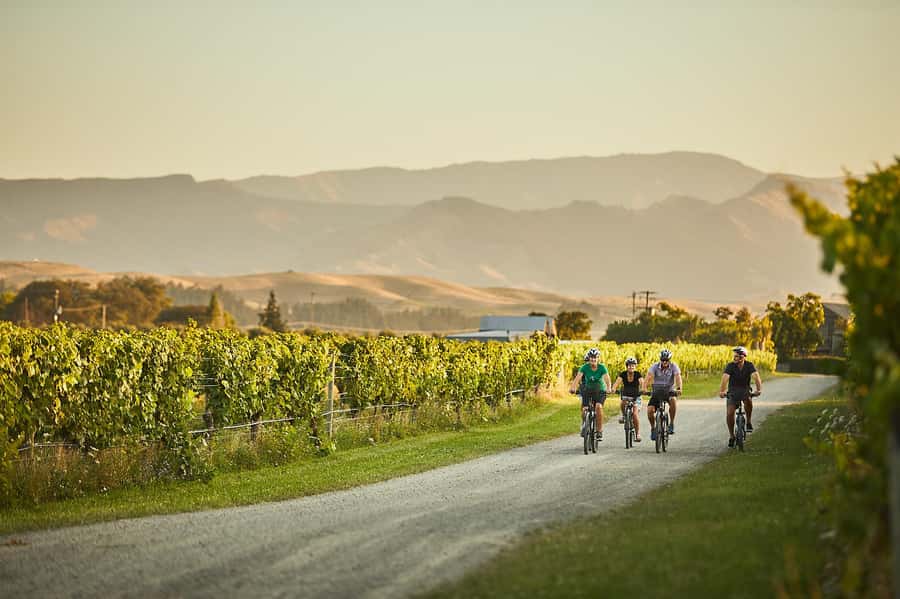 Marlborough: Full-Day Self-Guided Biking Wine Tour - Starting at the Vines Village
