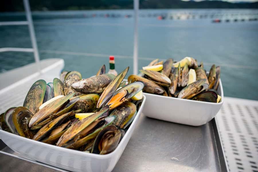 Marlborough: Full-Day Wine and Seafood Tour with Cruise - Key points at a glance