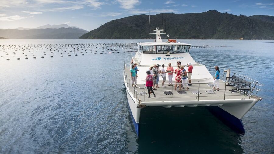 Marlborough: Full-Day Wine and Seafood Tour with Cruise - How the day feels from start to finish