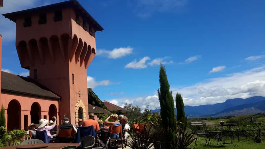 Marlborough Full Day Wine Tour - What the guides add to the day