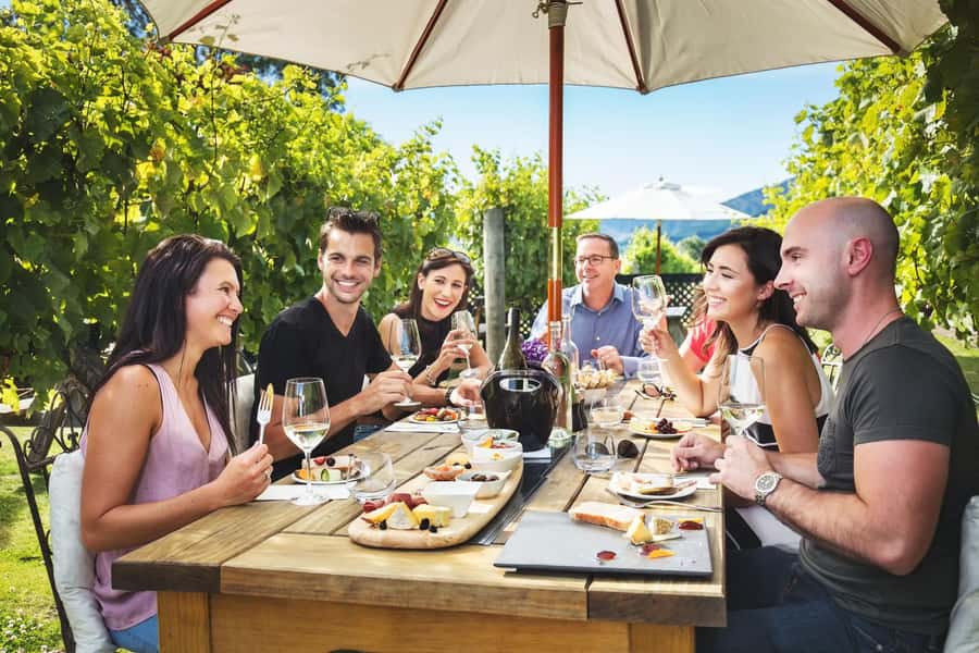 Marlborough: Full Day "Winemaker's Tour" - Key points at a glance