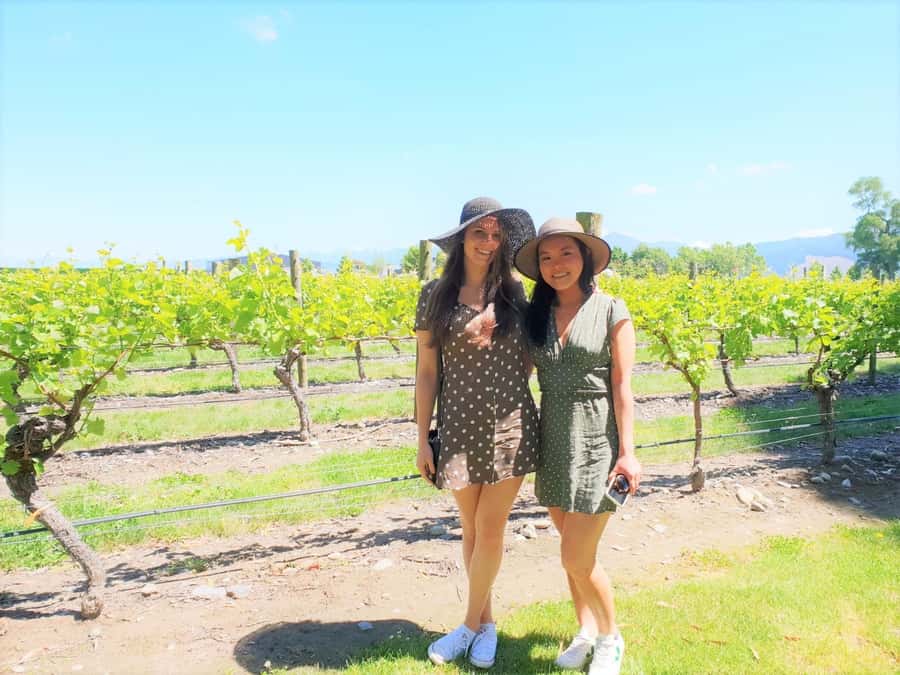 Marlborough: Full Day "Winemaker's Tour" - First winery: an hour to get your bearings