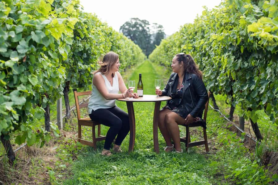Marlborough Half Day Wine Tour From Picton - Why this half-day tour works so well from Picton