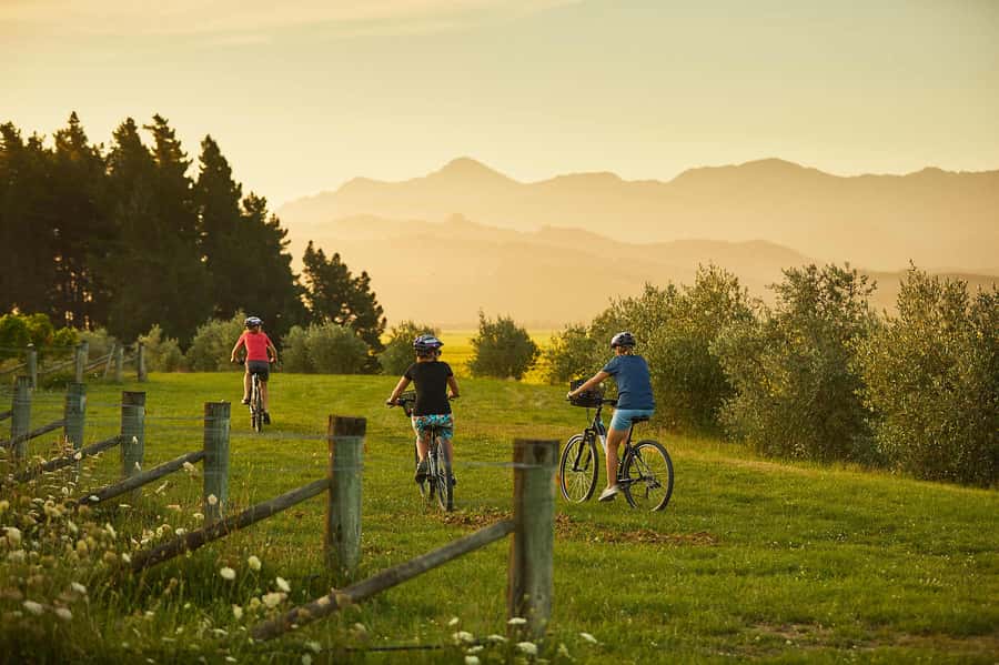 Marlborough: Half Guided and Half Self-Guided Bike Wine Tour - Key points at a glance