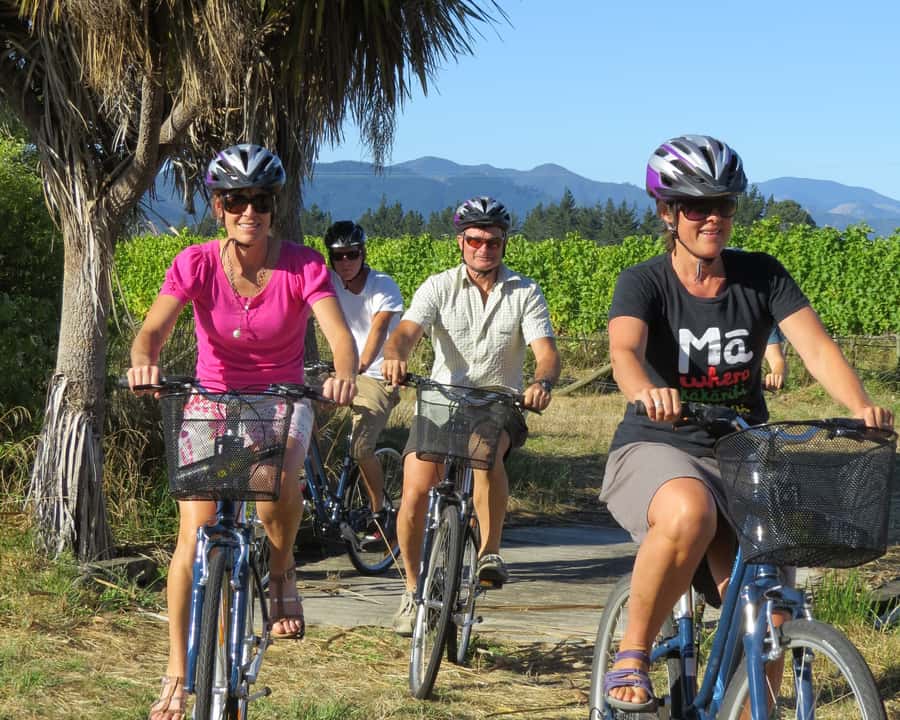 Marlborough: Half Guided and Half Self-Guided Bike Wine Tour - Three morning wineries with a local guide