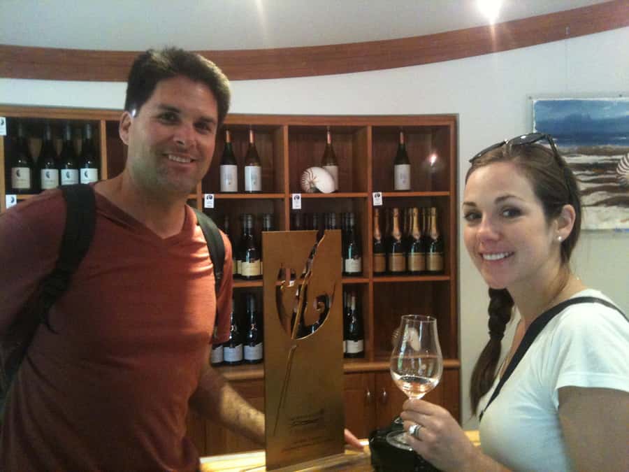 Marlborough: Half Guided and Half Self-Guided Bike Wine Tour - Practical tips for making the day better