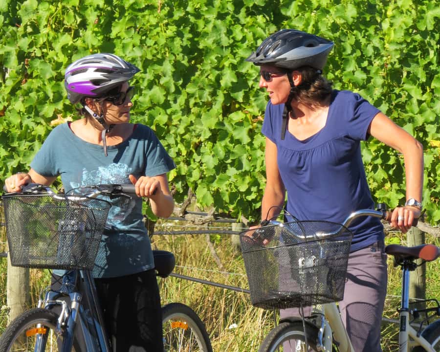 Marlborough: Half Guided and Half Self-Guided Bike Wine Tour - A 9:15 AM pickup and a gentle start among the vines