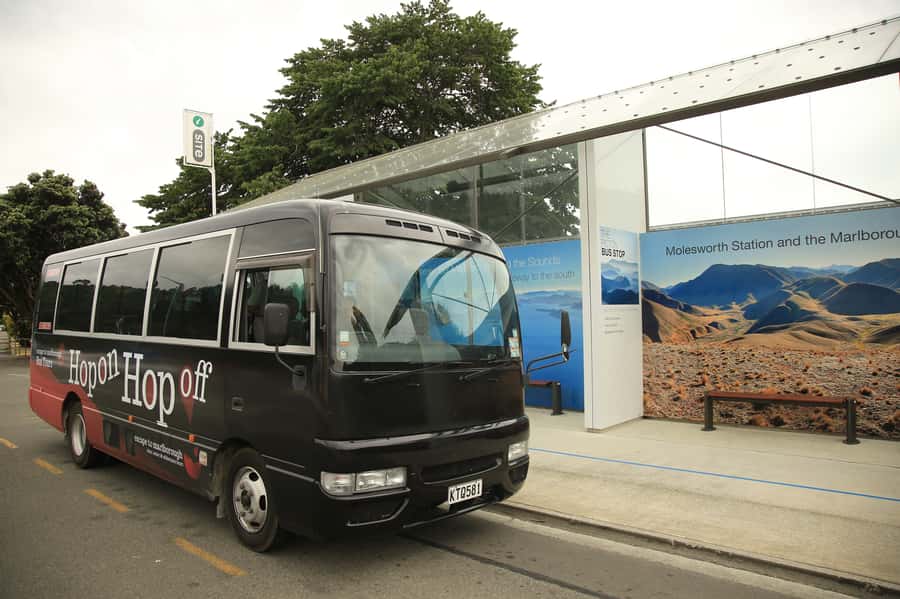 Marlborough: Hop-On Hop-Off Wine, Brewery, and Wonders Tour - A wine-country day without a designated driver