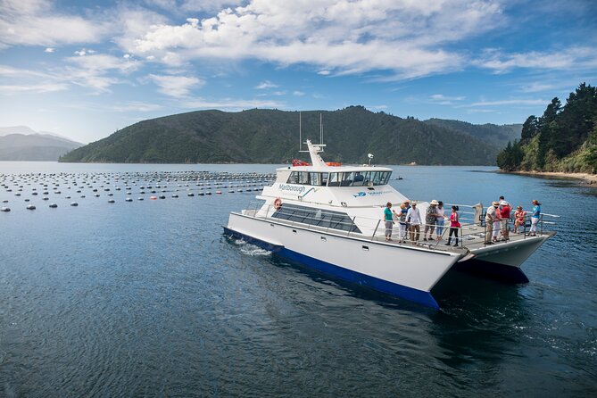 Marlborough Icons Tour - Wine tasting + Cruise - What the $198.58 price includes