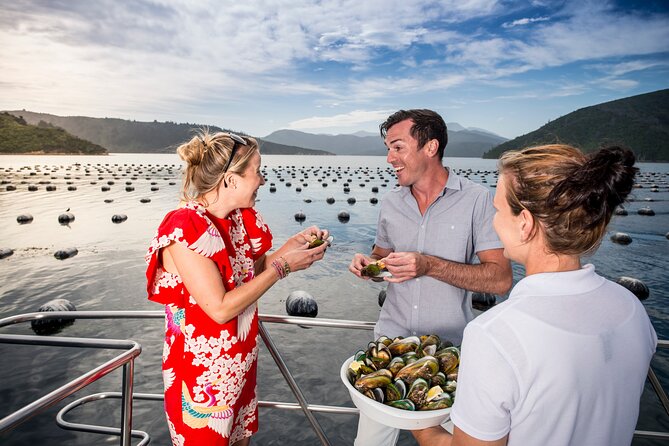 Marlborough Icons Tour - Wine tasting + Cruise - Who should book this day