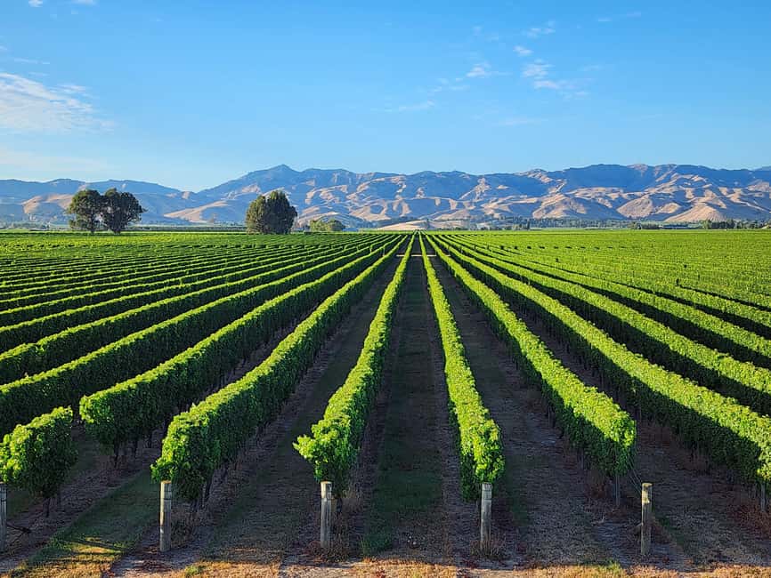 Marlborough Private Boutique Wine Tour - The private vehicle changes the day
