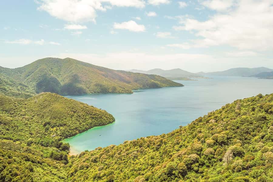 Marlborough Sounds and Ship Cove Cruise from Picton - Queen Charlotte Sound from the water