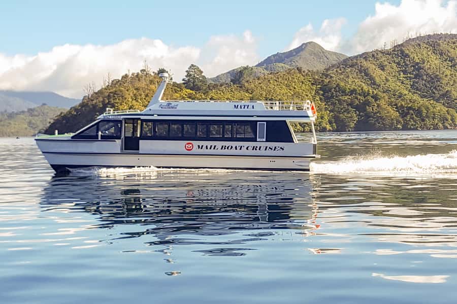 Marlborough Sounds and Ship Cove Cruise from Picton - Should you book it?