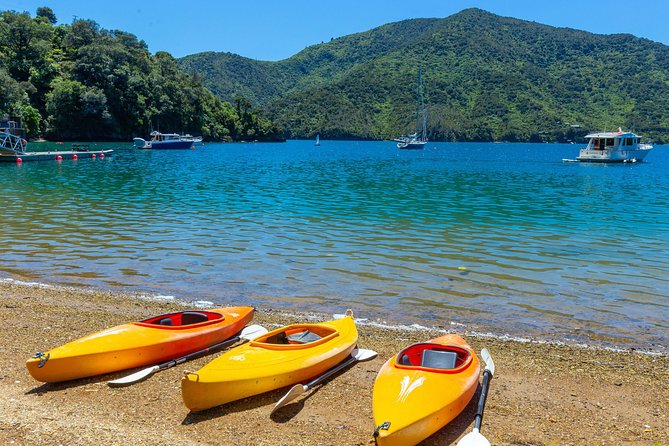 Marlborough Sounds Day Visit to Lochmara - Kayaks, paddle boards, and time on the bay