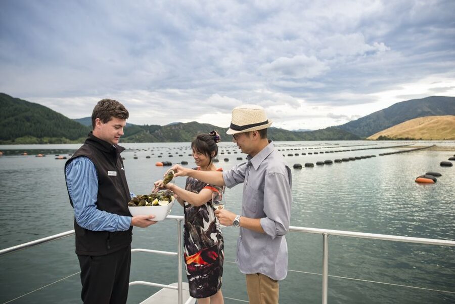 Marlborough Sounds: Greenshell Mussel Cruise - Timing, cancellation, and practical planning
