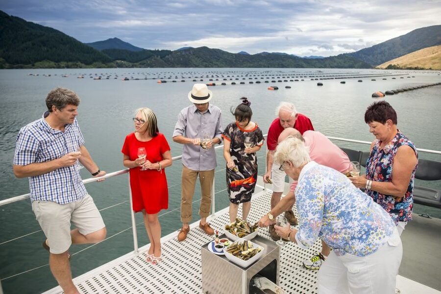 Marlborough Sounds: Greenshell Mussel Cruise - Eating Greenshell mussels on the water