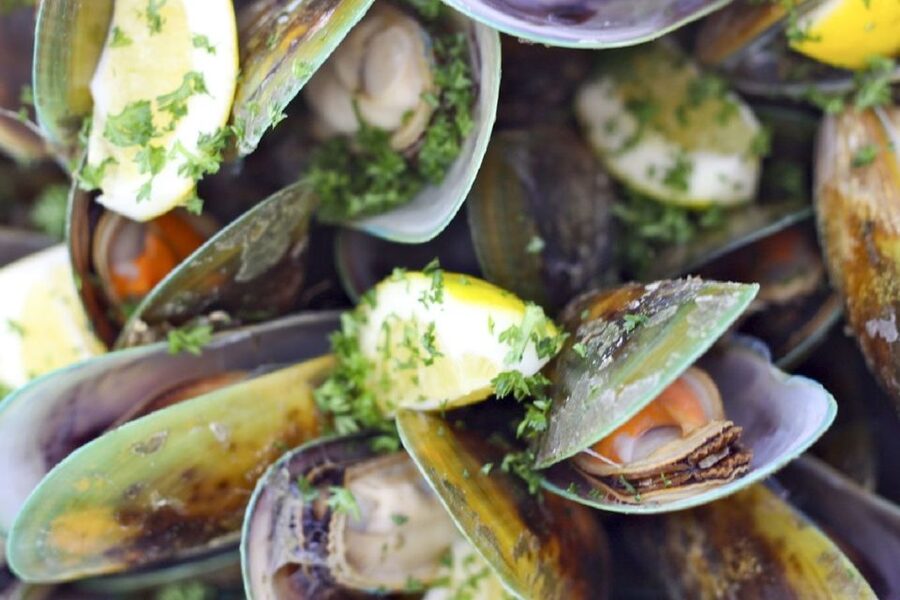 Marlborough Sounds: Greenshell Mussel Cruise - Is $107 a fair price?