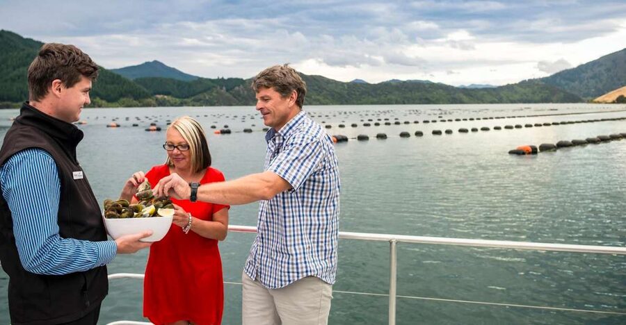 Marlborough Sounds: Greenshell Mussel Cruise - Who will enjoy this outing most