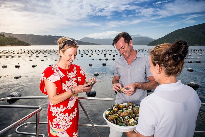 Marlborough Sounds Greenshell Mussel Tasting Cruise - Why the mussels make this Picton cruise different
