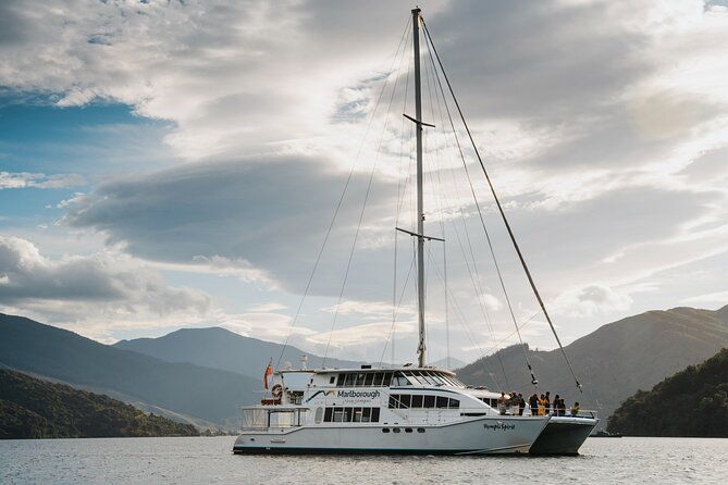 Marlborough Sounds Greenshell Mussel Tasting Cruise - The seafood tasting aboard the boat