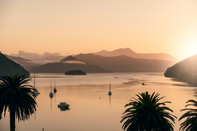 Marlborough Sounds Greenshell Mussel Tasting Cruise - Timing advice for Picton and cruise-ship passengers