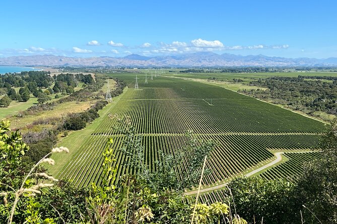 Marlborough Wine Region Tour from the Port of Picton - Is $179.90 a fair price?