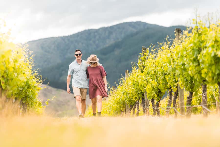 Marlborough: Wineries Visit and Tasting Session - Marlborough wine country in four useful hours