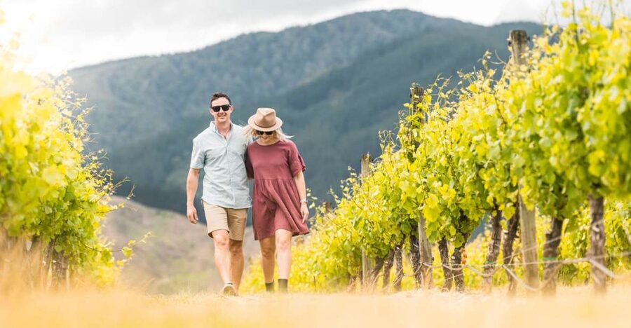 Marlborough: Wineries Visit and Tasting Session - The premium van and the pickup details