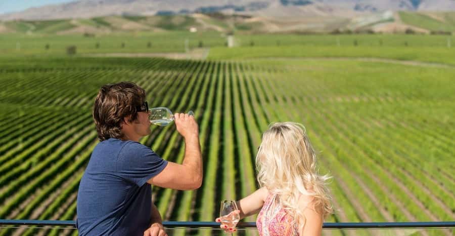 Marlborough: Wineries Visit and Tasting Session - Who should book this afternoon?