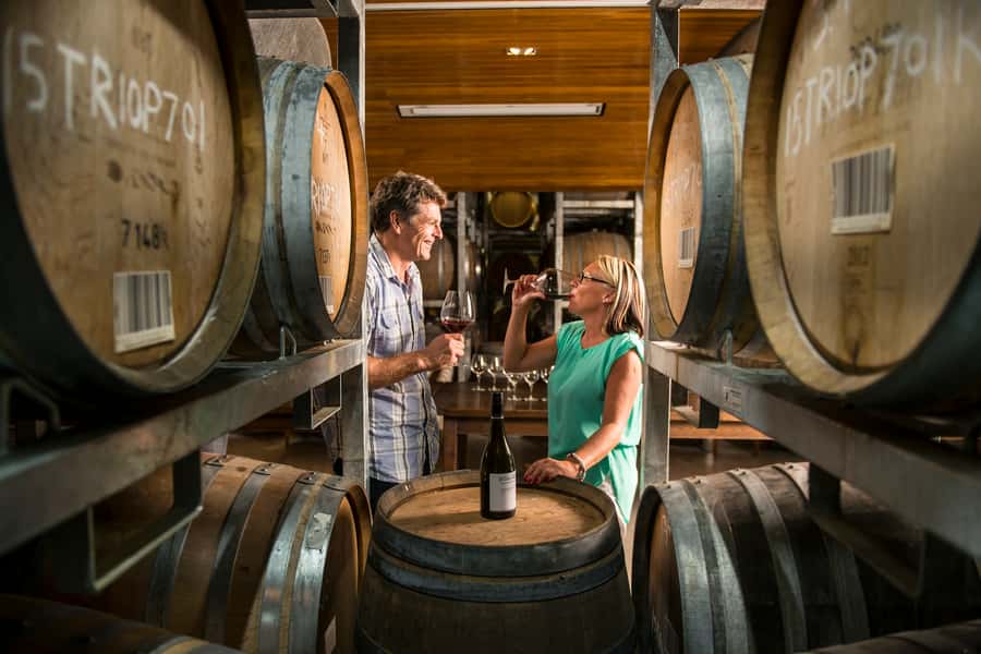 Marlborough: Wineries Visit with Tastings and 2-Course Lunch - A full day through Marlborough wine country