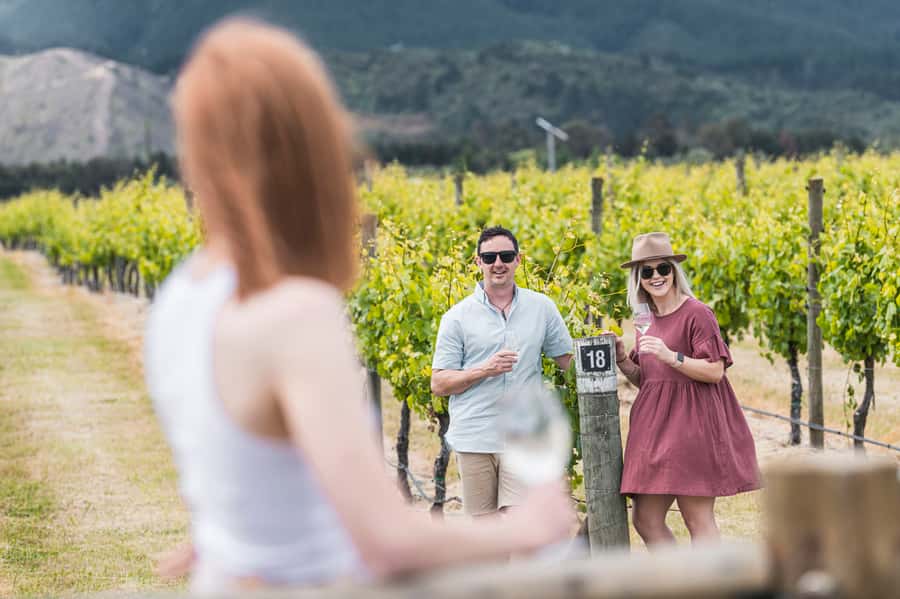 Marlborough: Wineries Visit with Tastings and 2-Course Lunch - Why the countryside views matter