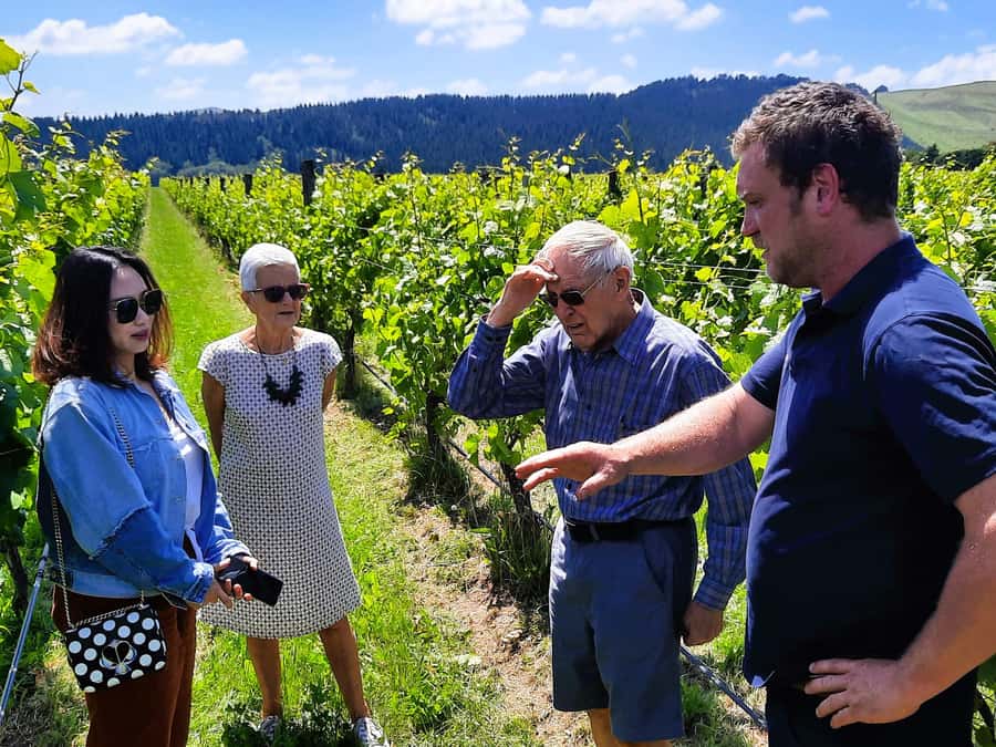 Martinborough Wine and Food Tour with Lunch from Wellington - Featherston cheese before the vineyards