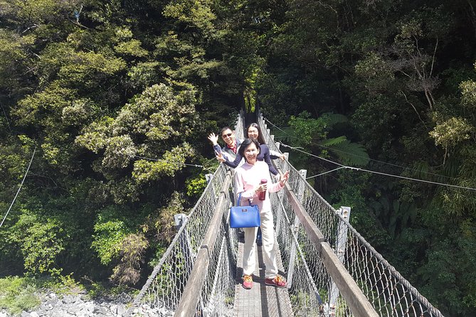 Martinborough Wine and Wild Coast Tour from Wellington - From Wellington to the old forest at Kaitoke