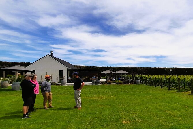Martinborough Winery and Foodie Day Tour with vineyard lunch - Four beers at Martinborough Brewery