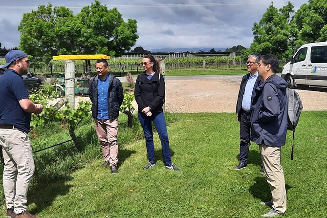 Martinborough Winery and Foodie Day Tour with vineyard lunch - Schoc Chocolates and the blind tasting game