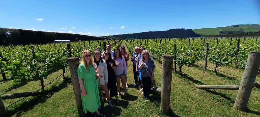 Martinborough Winery and South Wairarapa Wild Coast Tour - The road to the South Wairarapa coast