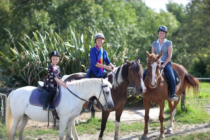 Matakana Art & Horse Riding Experience Private Tour From Auckland - A country day with three distinct moods