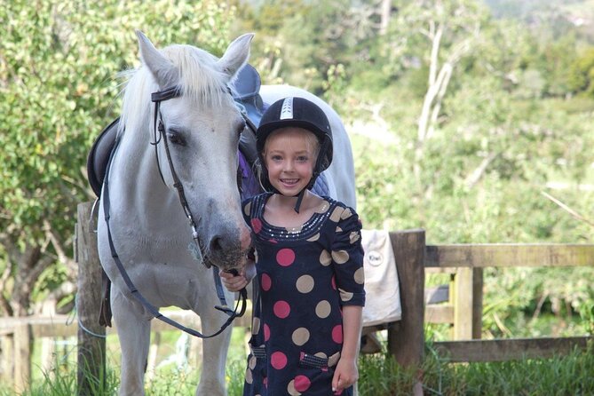 Matakana Art & Horse Riding Experience Private Tour From Auckland - The 8:30 am pickup from Auckland CBD